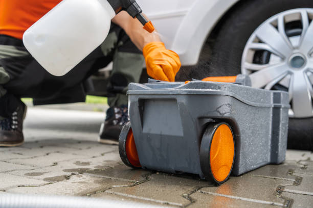 Best Arborist Consultation Services  in El Sobrante, CA